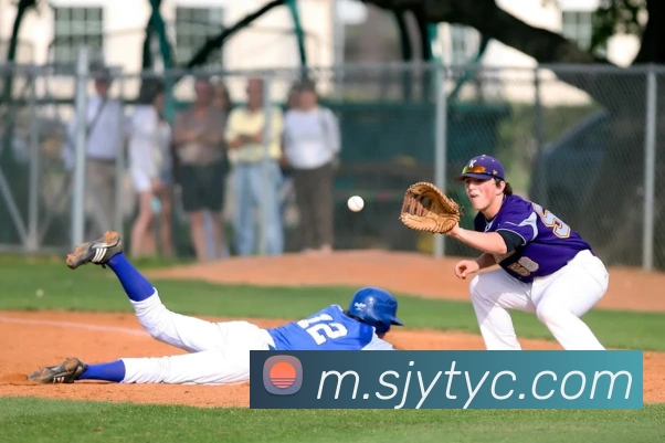 太阳城网站发展历程